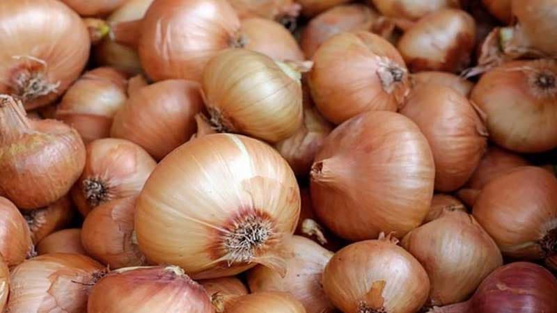 Qazaxıstandan Azərbaycana gətirilən soğan istehlaka yaramadı