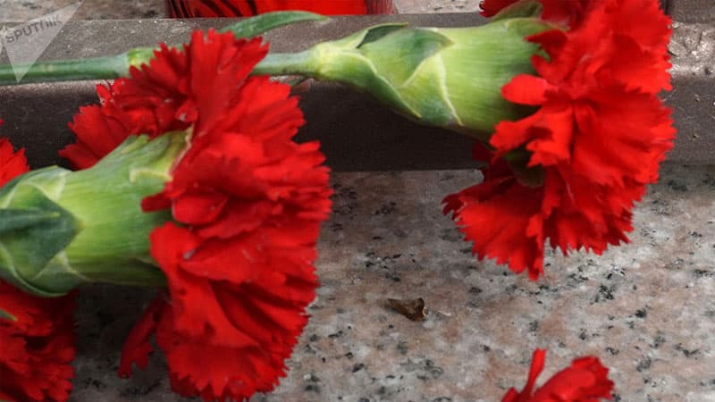 "Məhkəmə sistemi öldü": Navalnı tərəfdarları məhkəmə önünə qərənfillər düzdü
