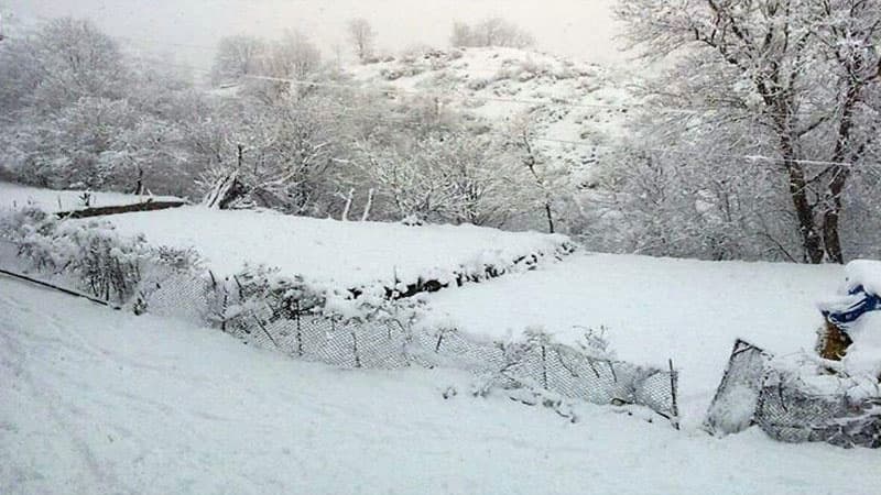 Bəzi rayonlara qar yağdı (FAKTİKİ HAVA)