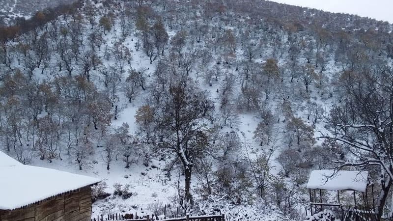 Bəzi ərazilərdə 16 dərəcəyədək şaxta olub - FAKTİKİ HAVA