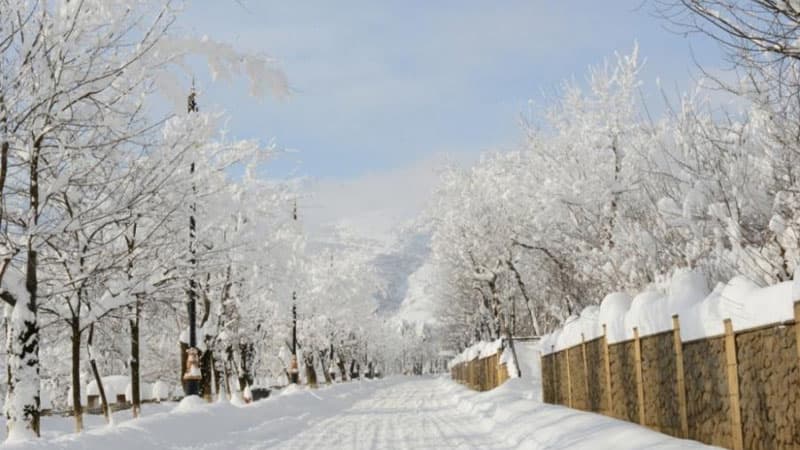 Sabah axşam qar yağacaq