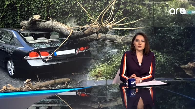Sürücülər kasko sığortadan niyə imtina edir? (VİDEO)