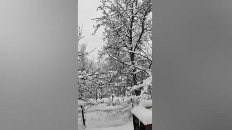 Hadrut ağ örpəyə büründü (VİDEO)