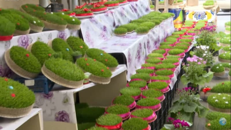 Bazarda 600 manata səməni - Xüsusi sifariş verildi (VİDEO)