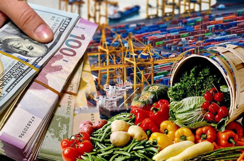 Azərbaycana əsas hansı məhsullar valyuta gətirir? (SİYAHI)
