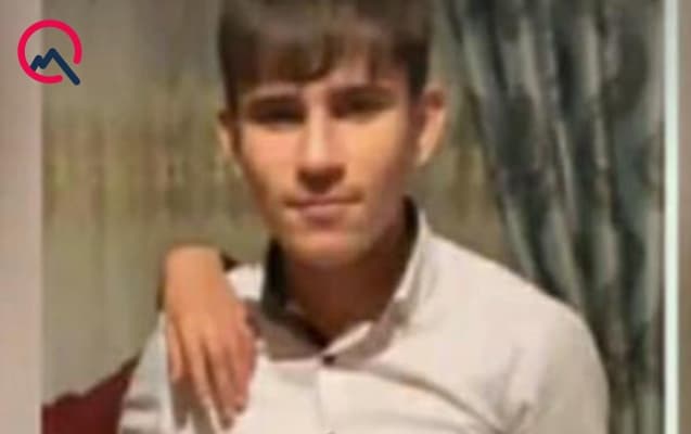 Göyçayda itlərin hücumundan qorxuya düşən məktəbli vəfat etdi