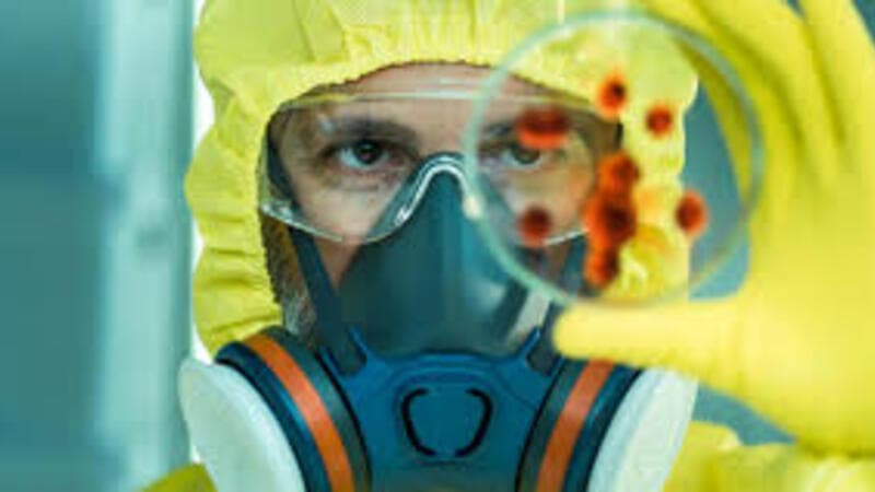 Koronavirus bu səthlərdə 28 gün yaşayır
