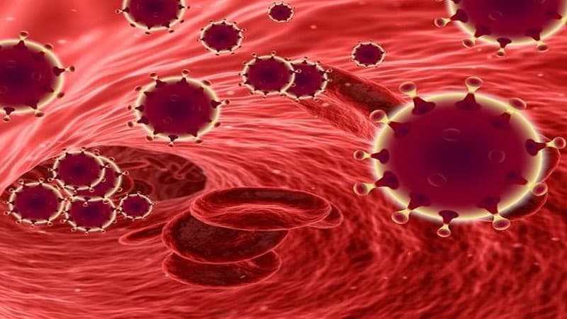 Daha bir ölkədə koronavirusun yeni növü aşkarlandı