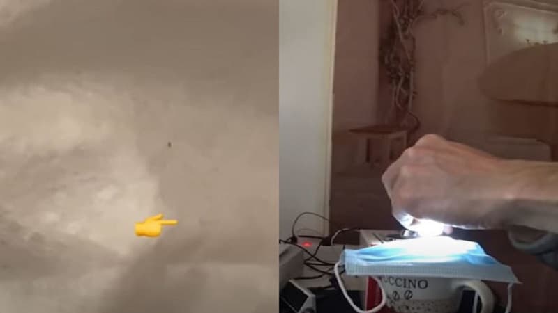 İstifadə etdiyimiz maskalarda qurd var? (VİDEO)