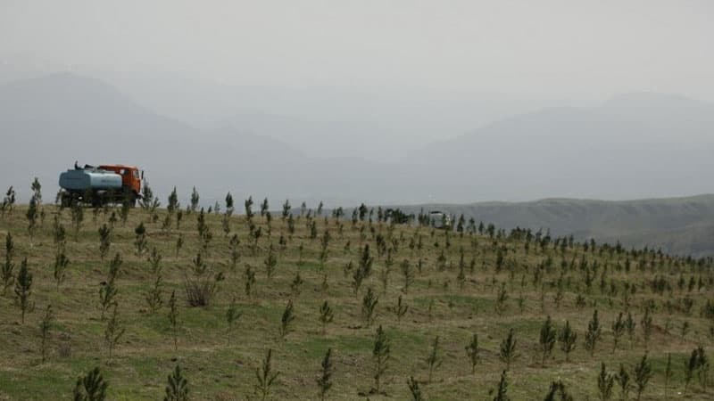 Azad edilmiş ərazilərdə kənd təsərrüfatı təyinatlı torpaqlar icarəyə veriləcək (FƏRMAN)
