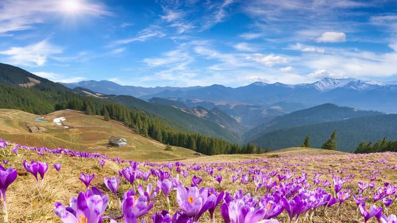 May ayında hava necə olacaq?