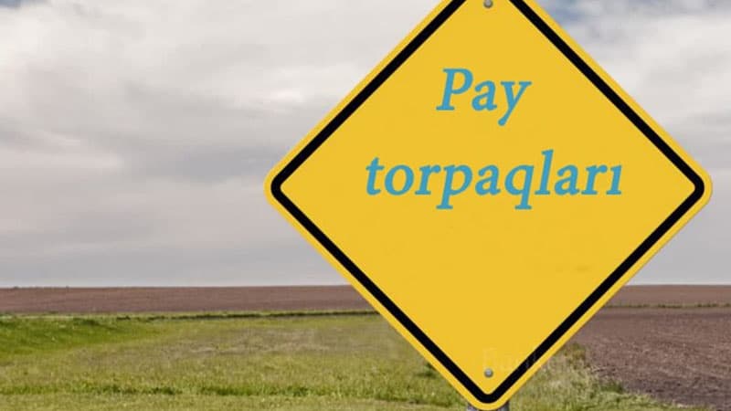 Pay torpaqları kütləvi satışa çıxarılır (SƏBƏBLƏR)
