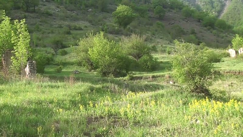 Kəlbəcərin Qasımbinəsi kəndindən görüntülər (VİDEO)