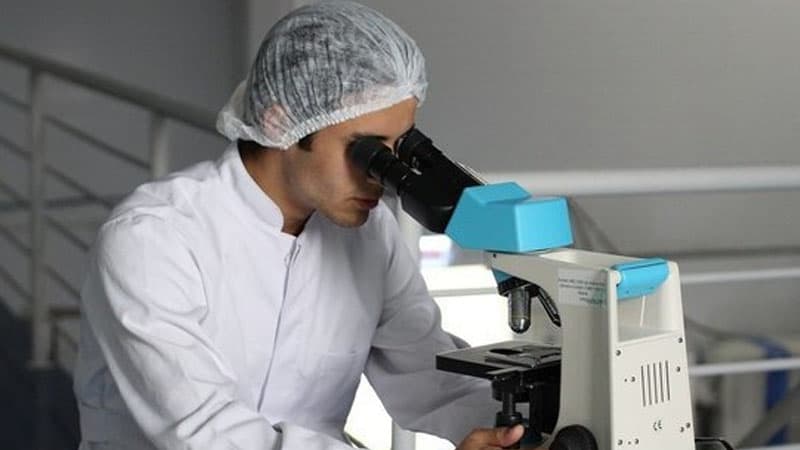 Cənubi Koreyada quş qripi epidemiyası dayandırıldı