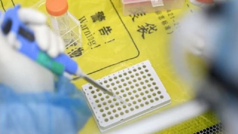 Alim insanları təhdid edən daha bir təhlükəli virusdan danışdı