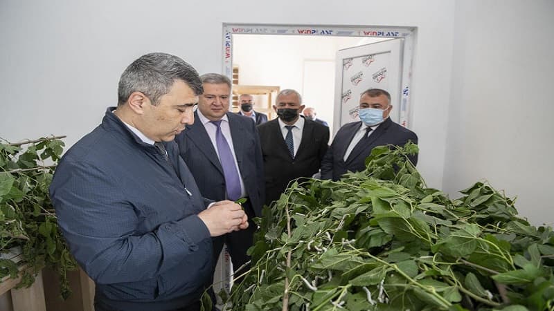 İnam Kərimov Şamaxı və Ağsuda yeni tikilmiş kənd təsərrüfatı müəssisələrində
