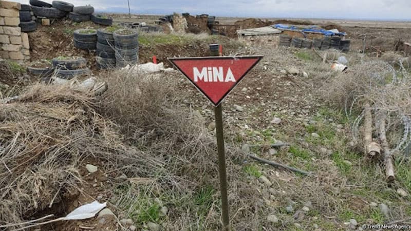 Politoloq minalanmış sahələrin qısa vaxtda təmizlənmə yolunu göstərdi