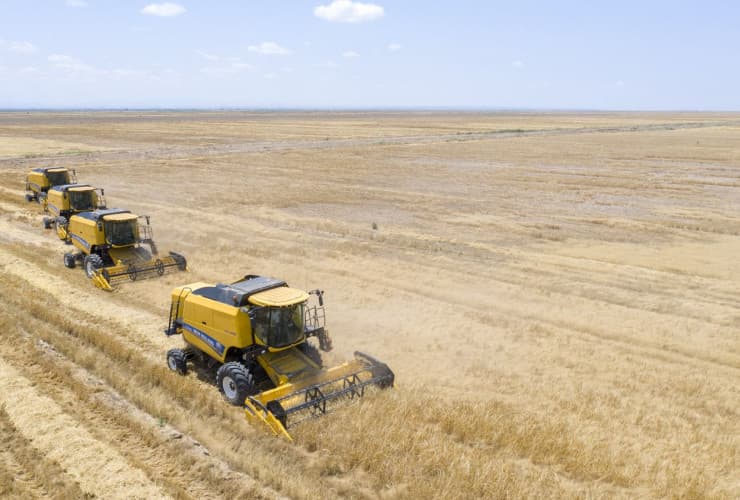 Taxıl sahələrinin 11,4 faizi biçilib, sahələrdən 337600 ton məhsul yığılıb