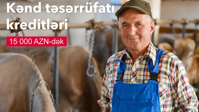  193 fermer AKİA dəstəyi ilə “AccessBank”dan kredit alıb 