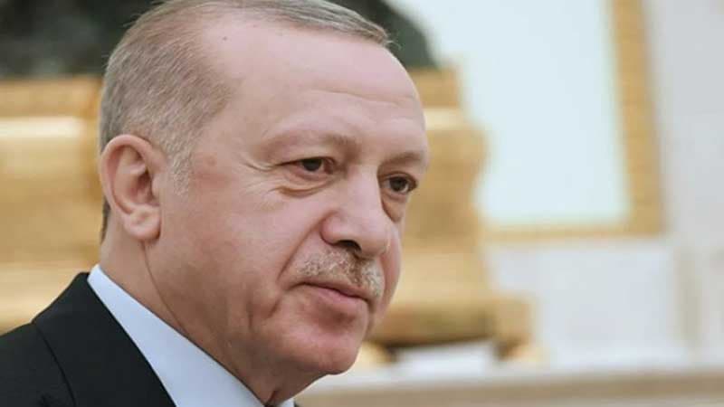 Türkiyə Prezidentinə "Zəfər" adlı Qarabağ atı hədiyyə edildi