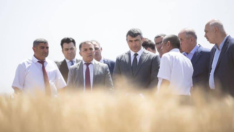 Qobustanda toxumçu fermerlərə yeni yerli və xarici taxıl sortları nümayiş olundu (FOTOLAR)
