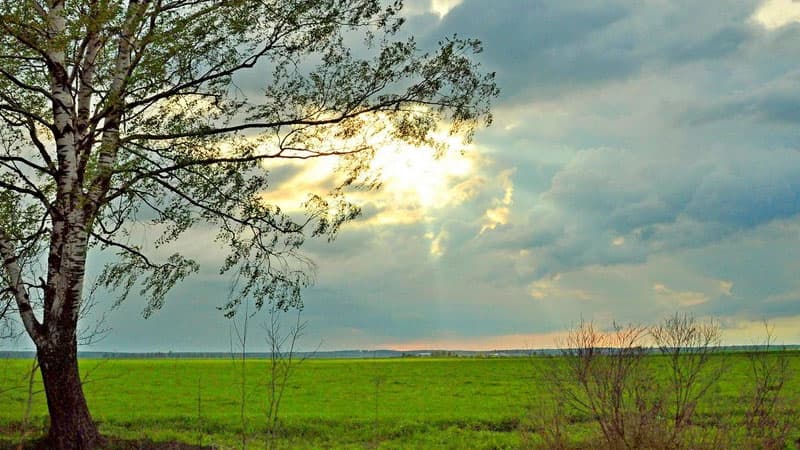 İyun ayının son gününə olan hava proqnozu