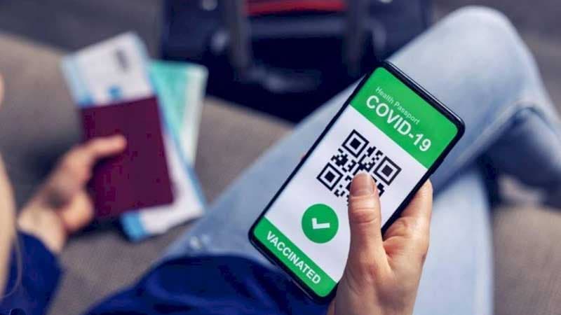 TƏBİB rəsmisindən saxta pasport açıqlaması (VİDEO)