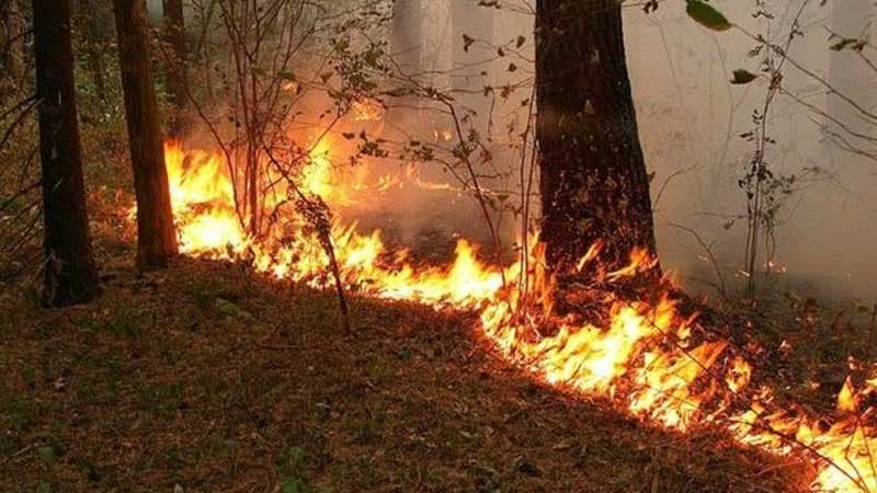Ermənilər Azərbaycan sərhədində yanğın törətdi