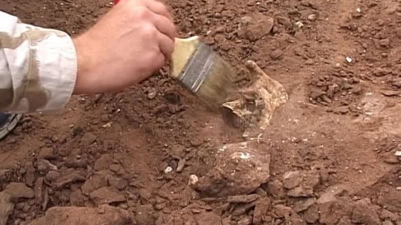 Azərbaycanın bu bölgəsində külçələr tapıldı - Kənd nəzarətə götürüldü (FOTO)