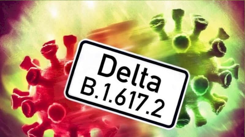 “Delta” ştammı ölkəyə necə gəlib? - Rəsmi açıqlama