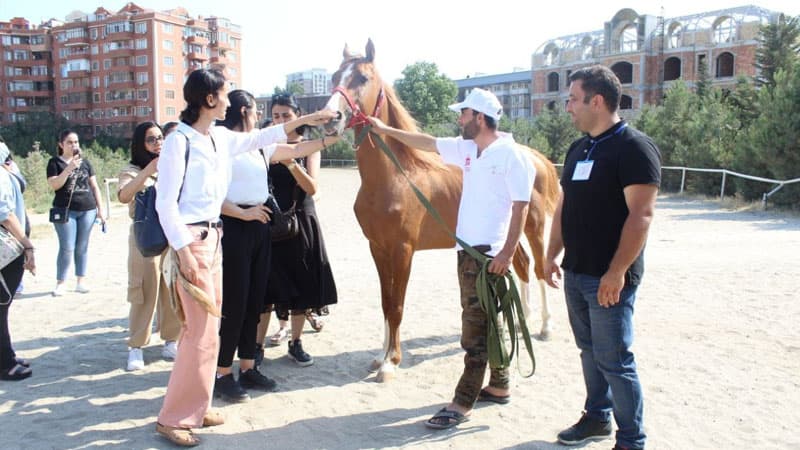 “Davam” “Qarabağ atları” layihəsinə start verdi (FOTOLAR)