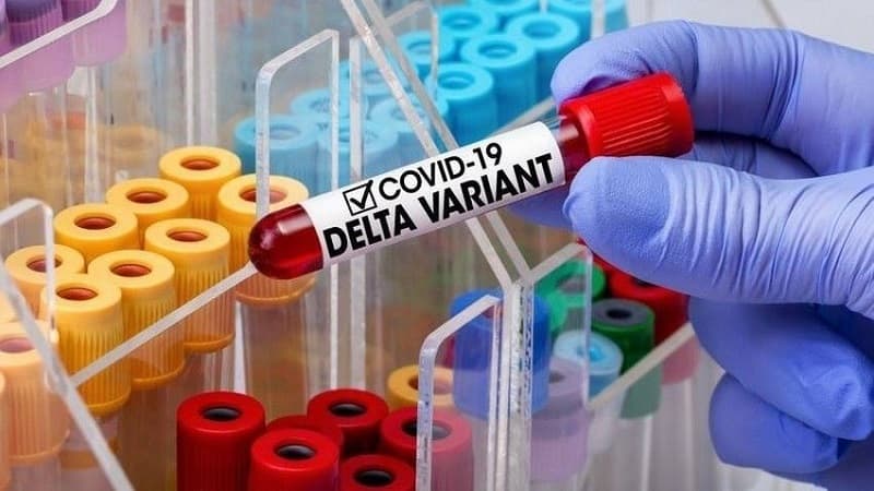 ÜST-dən “Delta” ştammı ilə bağlı xəbərdarlıq