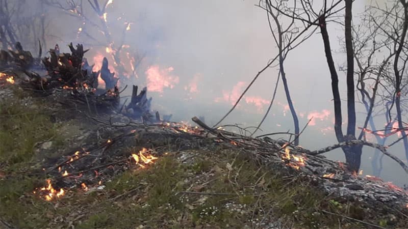 Yardımlıda meşə yanğınları davam edir - Helikopter göndərildi