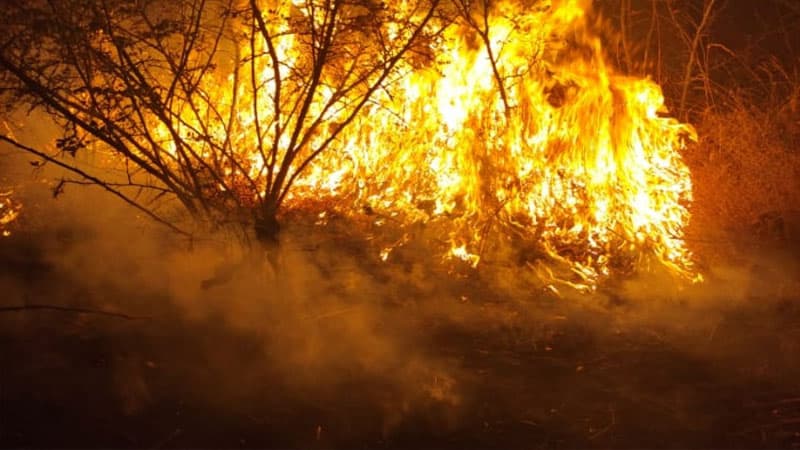 Ağsudakı meşə yanğınının görüntüləri (FOTO/VİDEO)