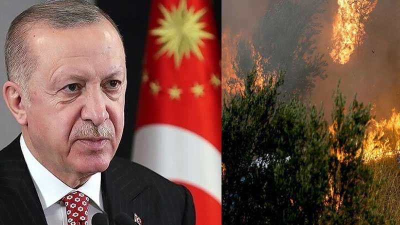 Ərdoğandan yanğınla bağlı son məlumat və yeni qərar: "Bu şəxslər buraxılmayacaq"