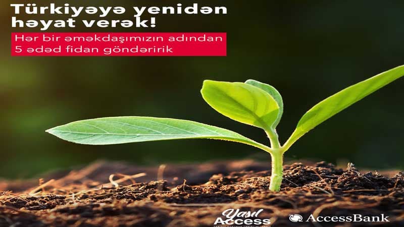 “AccessBank” Türkiyəyə 6000-dək ağac tingi bağışlayacaq