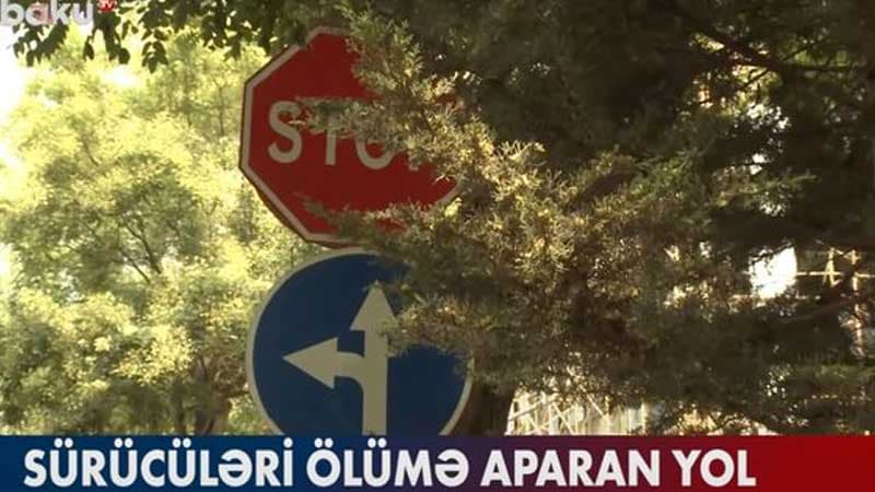 Sürücüləri ölümə aparan yolun səbəbkarı kimdir? (VİDEO)