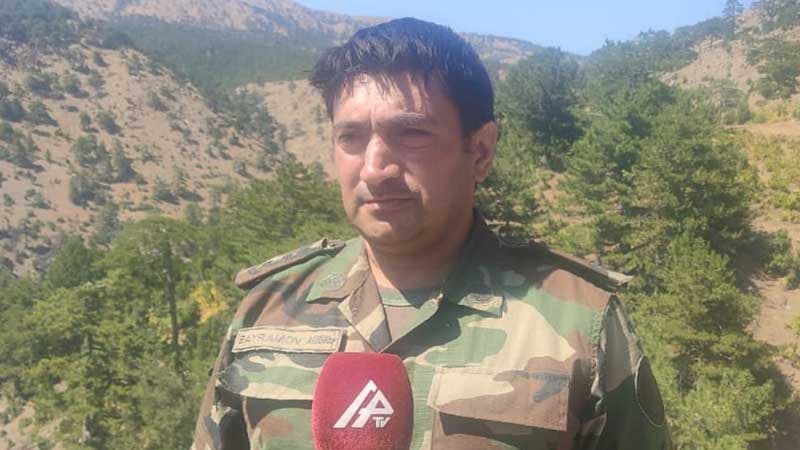 FHN-in polkovnik-leytenantı: "Muğlanın Çövenli kəndində yanğının evlərə keçməsinin qarşısı alınıb"