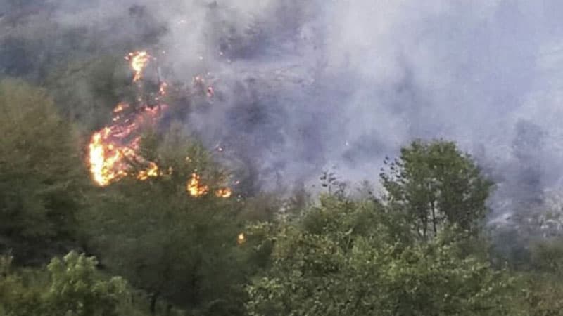 Oğuzdakı yanğın söndürüldü