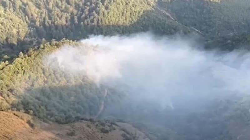 Lerikdə meşə yanğını davam edir (VİDEO)
