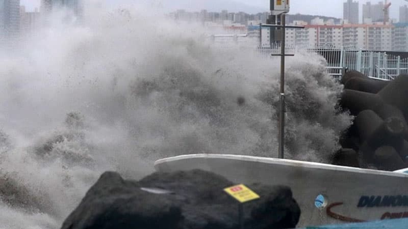 Cənubi Koreyada 10 min insan təxliyə edildi – Omasis tayfunu