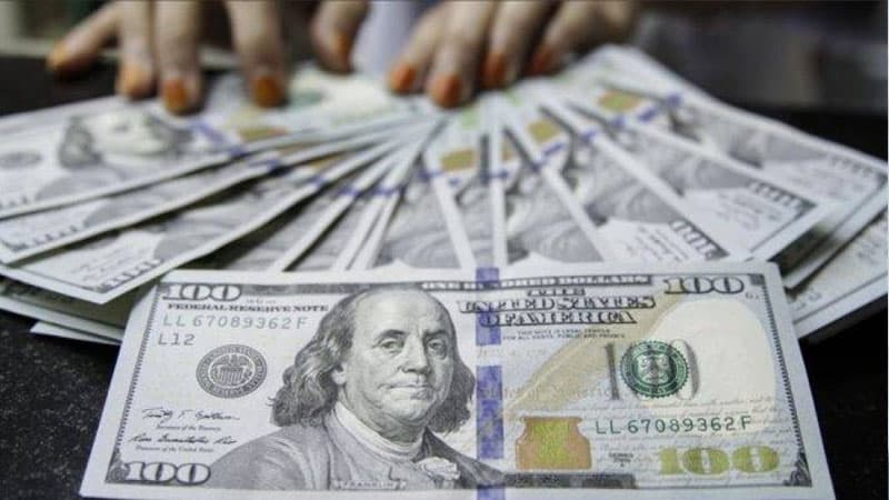 Bankların dollar alışını artırması nə ilə bağlıdır? - Ekspert