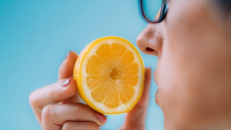 Həkim-fitoterapevt: İybilmənin bərpası üçün fitoterapiya müalicəsi faydalıdır