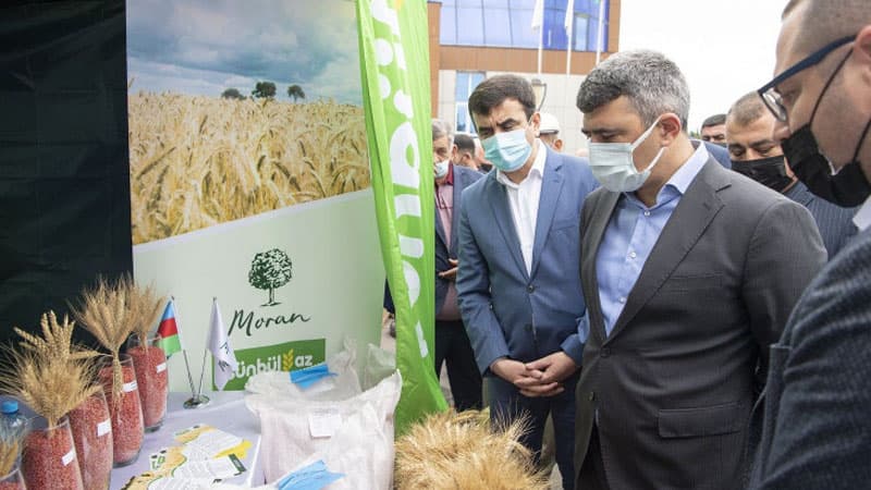 İnam Kərimov Saatlıda keçirilən toxum sərgi-satış yarmarkasında iştirak edib (FOTO)