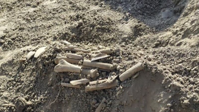 Cəlilabadda qədim məzarlıq tapıldı (FOTO)
