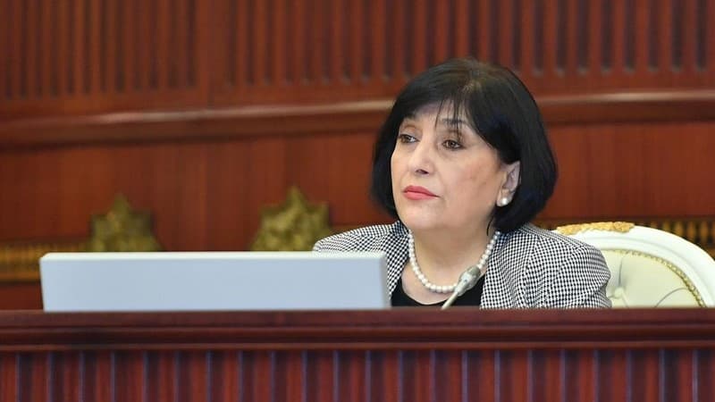 Sahibə Qafarova İrana səfəri zamanı qaldırdığı məsələləri açıqladı