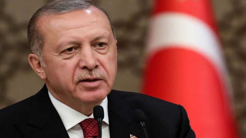 Ərdoğan Soçidə Putinlə müzakirə edilən bəzi mövzuları açıqladı (VİDEO)