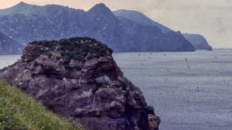 Rusiya Kuril adalarıyla bağlı Yaponiya baş nazirinə son sözünü dedi
