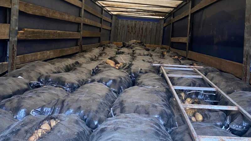 İrandan gətirilən 64 ton kartof geri qaytarıldı (FOTO)