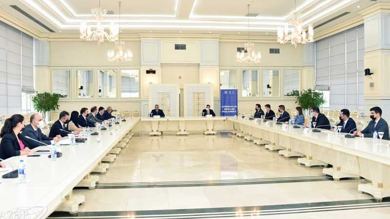 Azərbaycanda Gənclər Parlamenti yaradılacaq